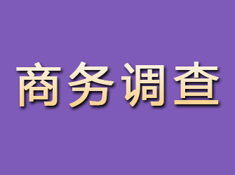 鸡泽商务调查